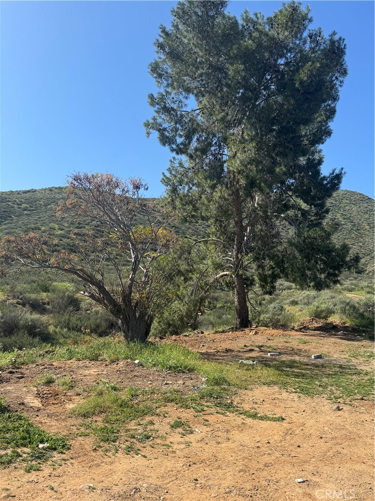 0 Byers Road Menifee, CA 92586 - Photo 3 of 7 a view of a yard with an trees