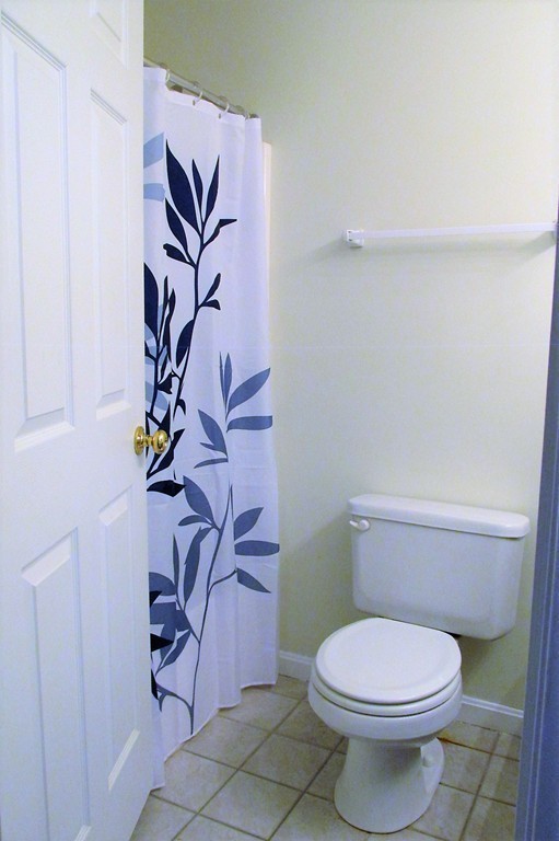 330 Sunderland Road, Unit 95 Worcester, MA 01604 - Photo 14 of 24 a bathroom with a toilet and a painting on the wall