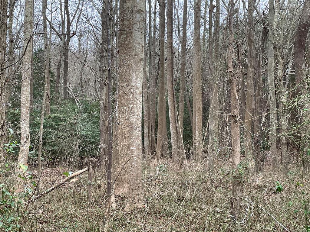 5-lots 5-lots Stone House Road Onley, VA 23418 - Photo 6 of 11