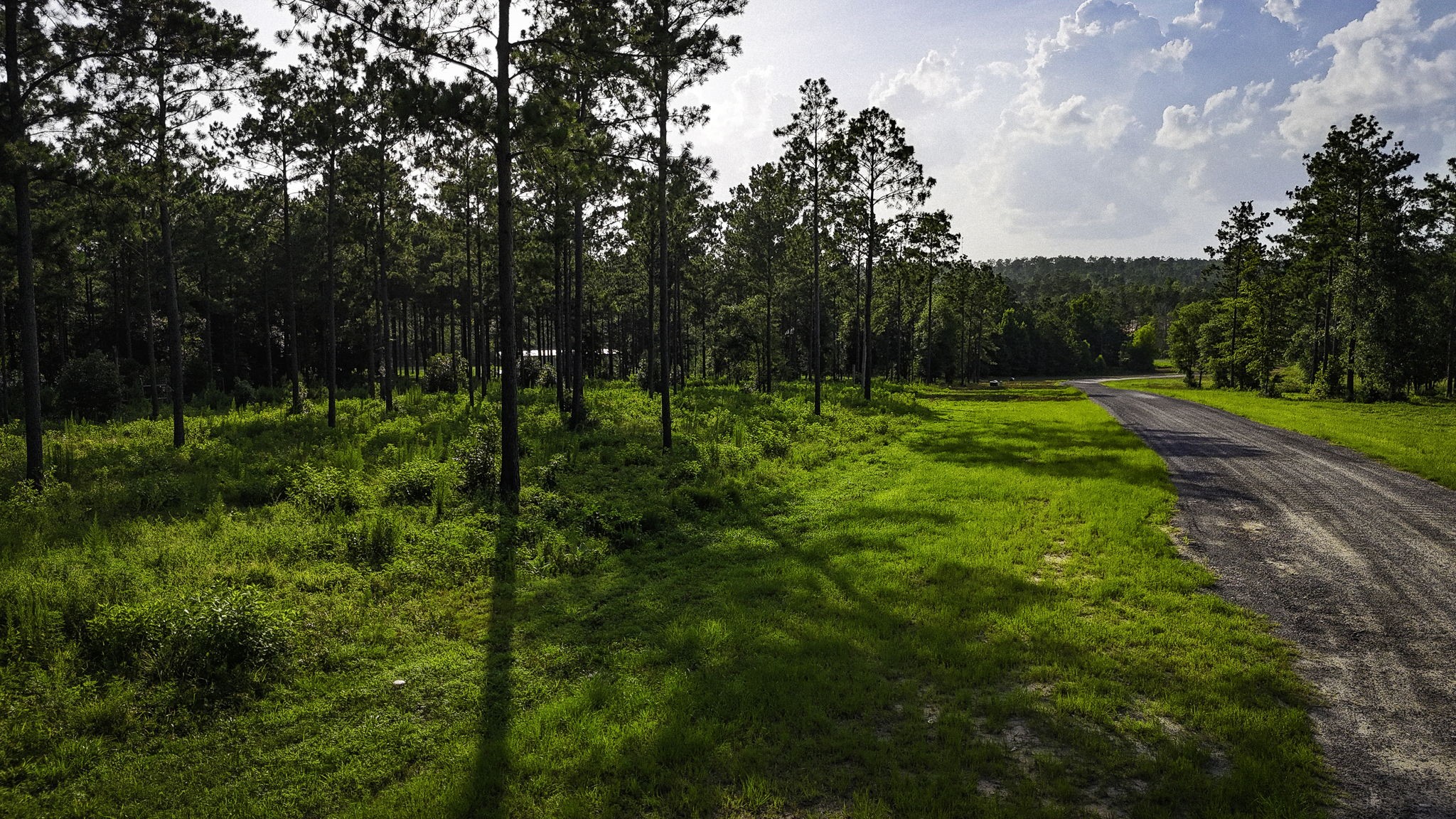 Tbd Lot 5 Tbd Road Livingston, TX 77351 - Photo 18 of 24 Gallery Image 18