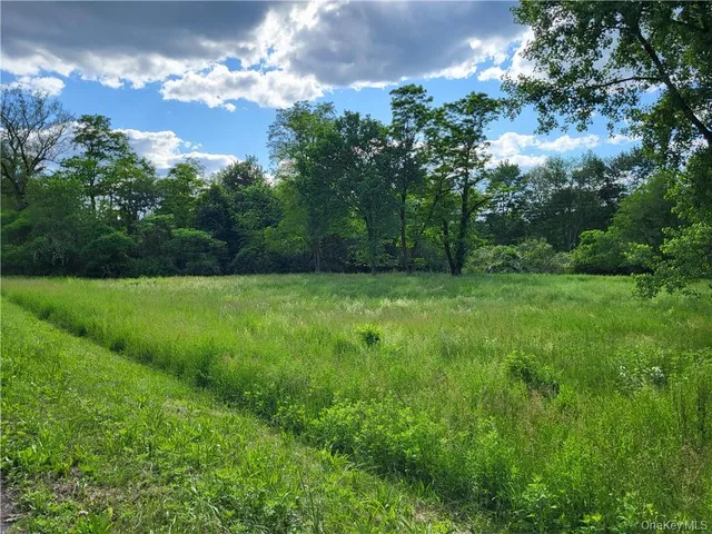 a big yard with lots of green space and trees