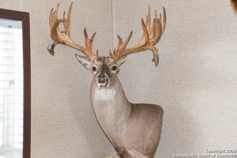 0 Tbd San Diego, TX 78384 - Photo 24 of 42 a picture of a bathroom with a shower