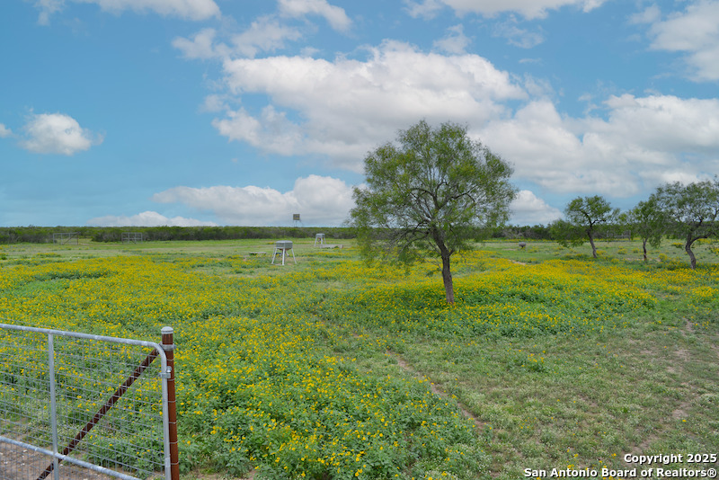 0 Tbd San Diego, TX 78384 - Photo 36 of 42 a view of a garden with a building in the background