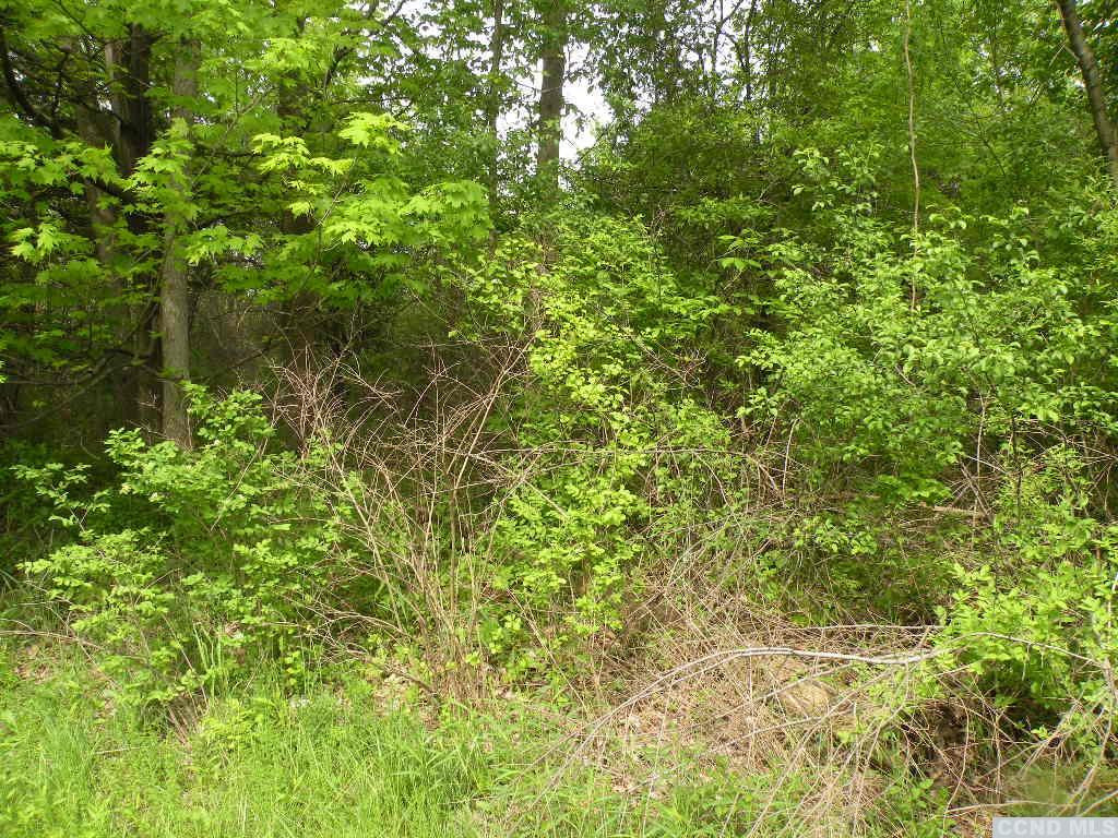 0 Route 9h/oldpost Road Ghent, NY 12075 - Photo 5 of 7 a view of a lush green forest