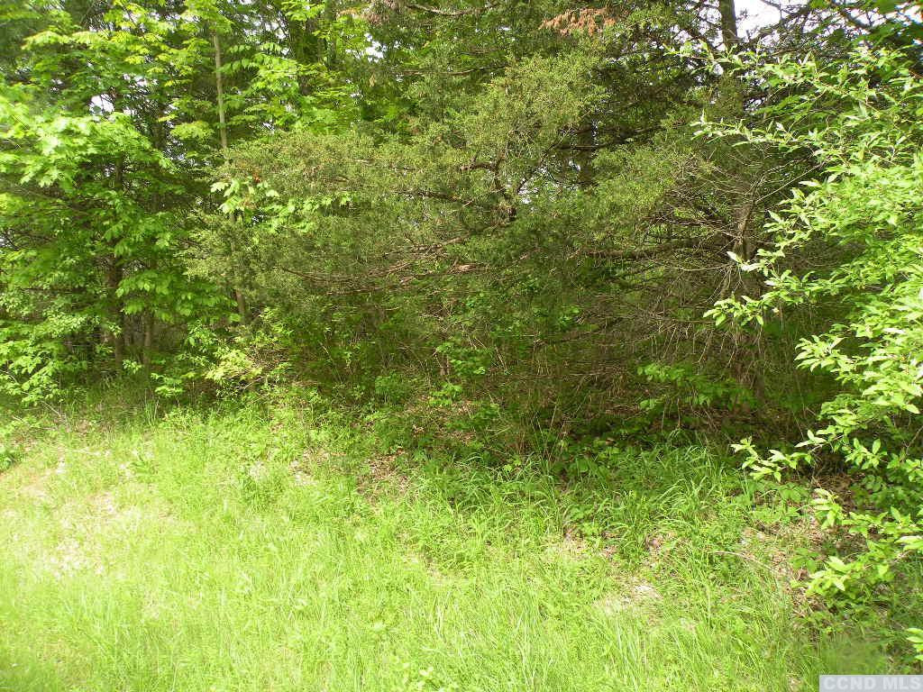 0 Route 9h/oldpost Road Ghent, NY 12075 - Photo 6 of 7 a view of a garden from a tree