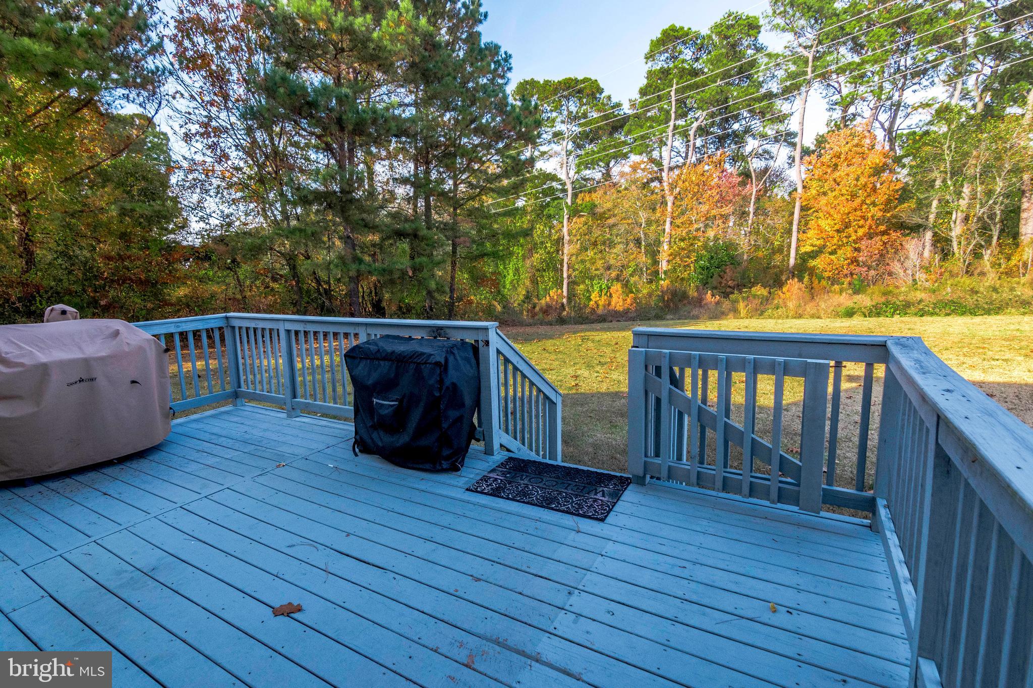 1403 Middleneck Drive Salisbury, MD 21804 - Photo 33 of 38