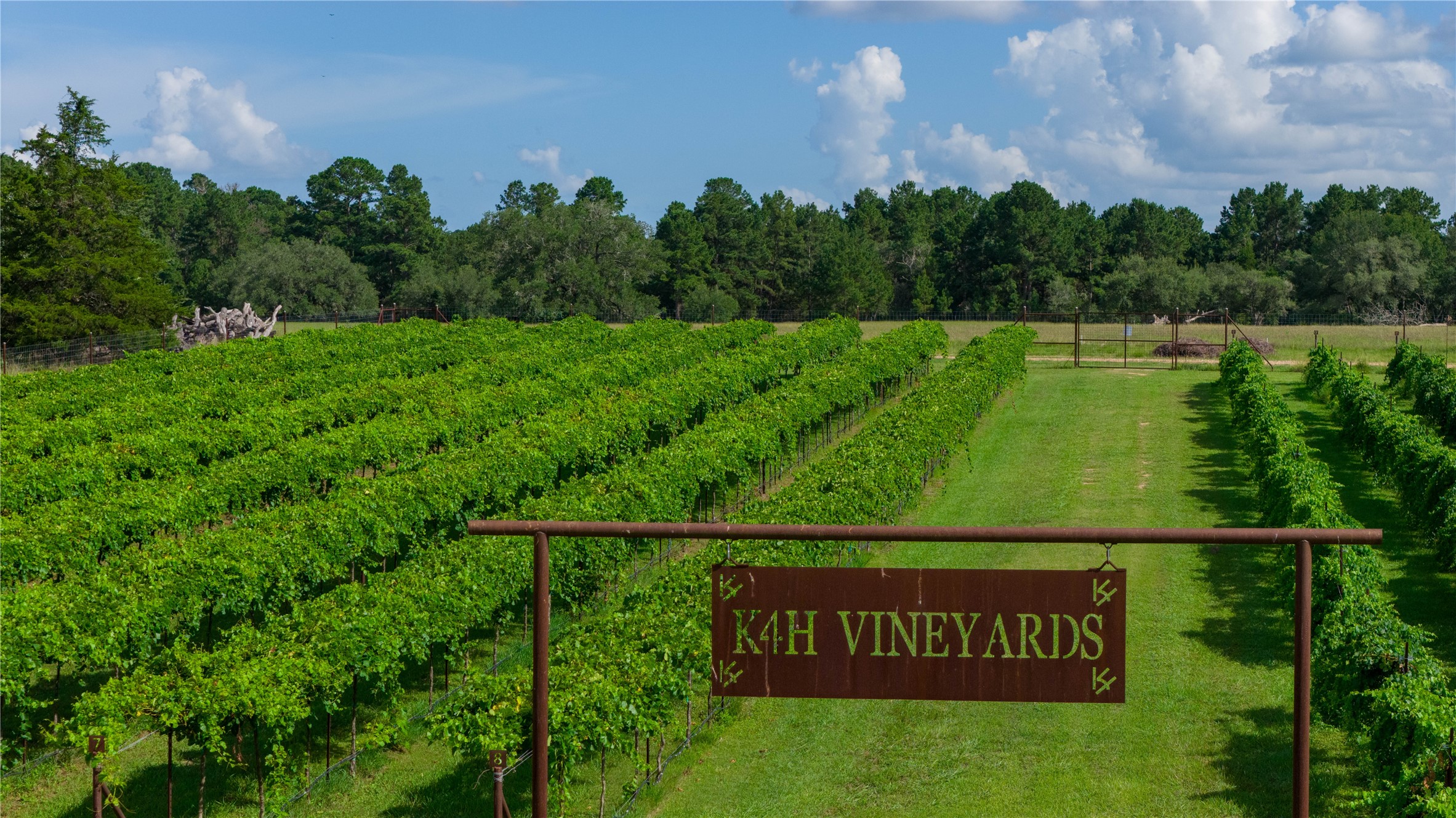 2080 Zimmerscheidt Road Columbus, TX 78934 - Photo 11 of 15 a view of a park