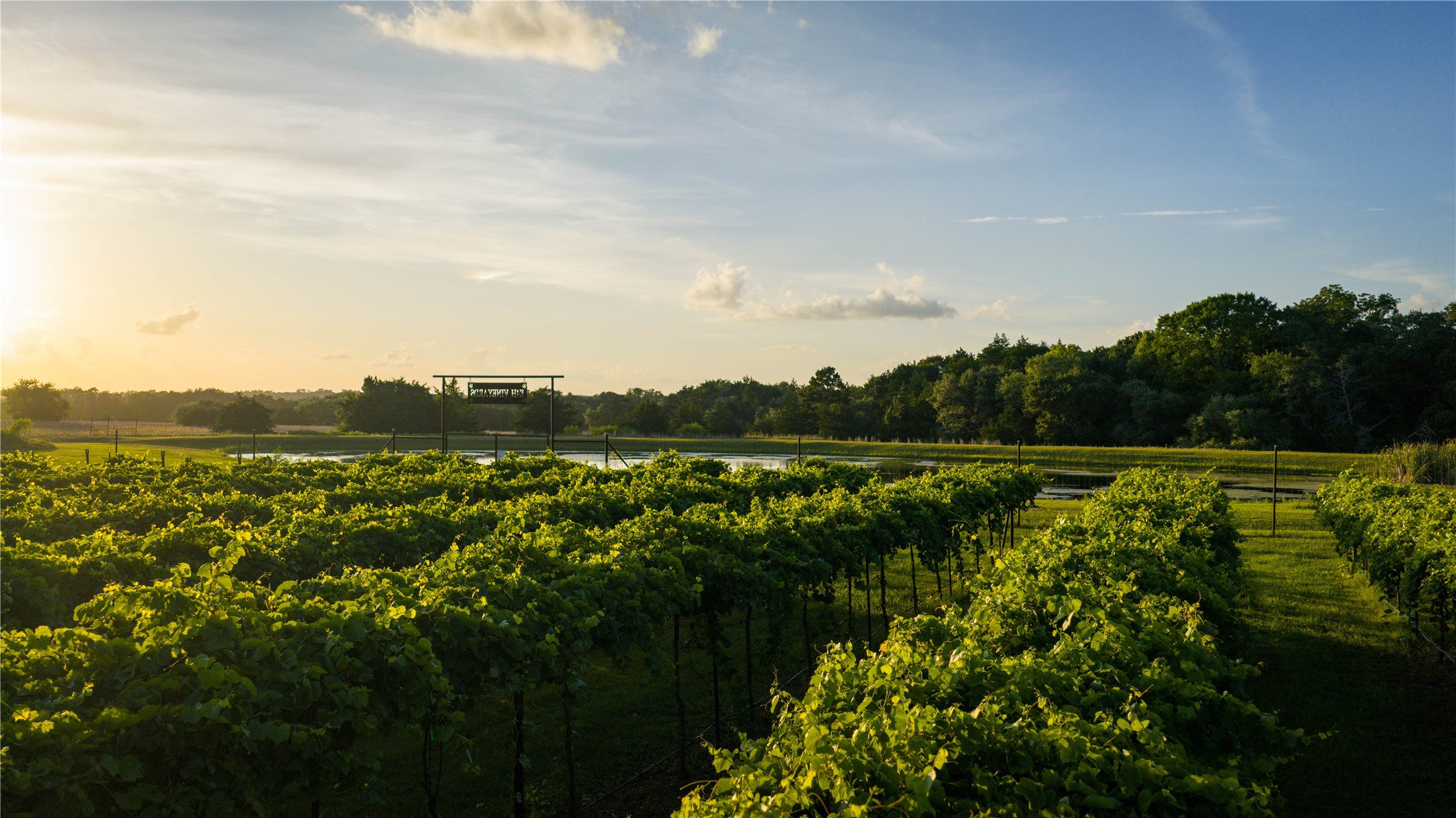 2080 Zimmerscheidt Road Columbus, TX 78934 - Photo 15 of 15 a view of a lake with a city