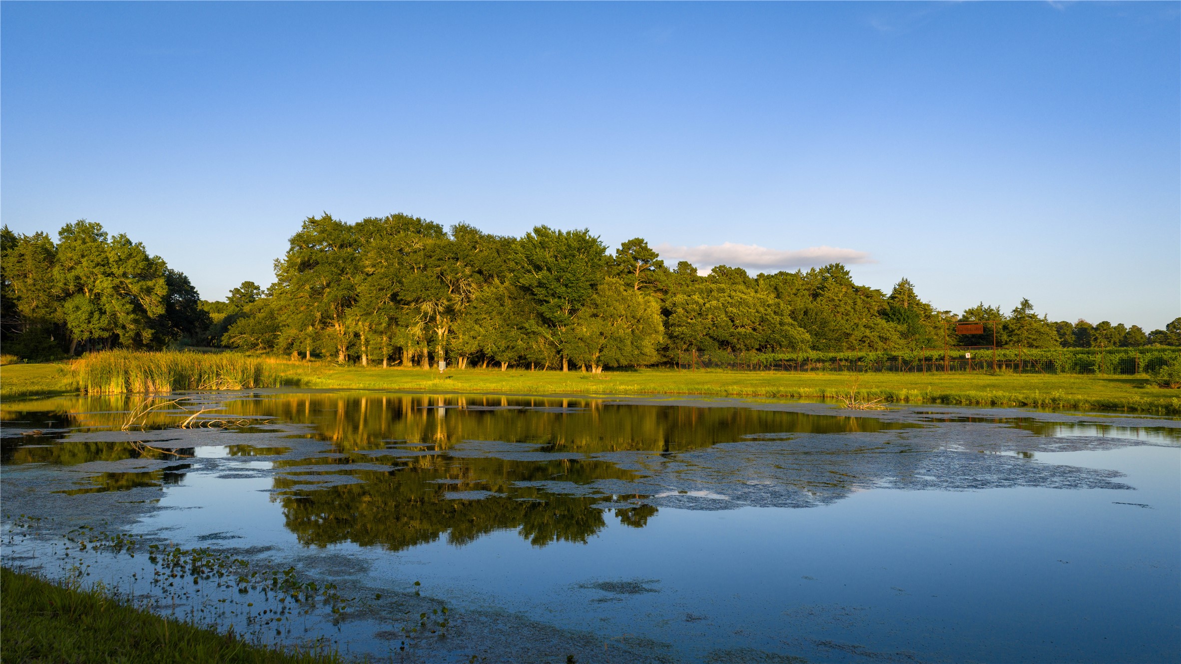 2080 Zimmerscheidt Road Columbus, TX 78934 - Photo 2 of 15 a view of a lake with houses