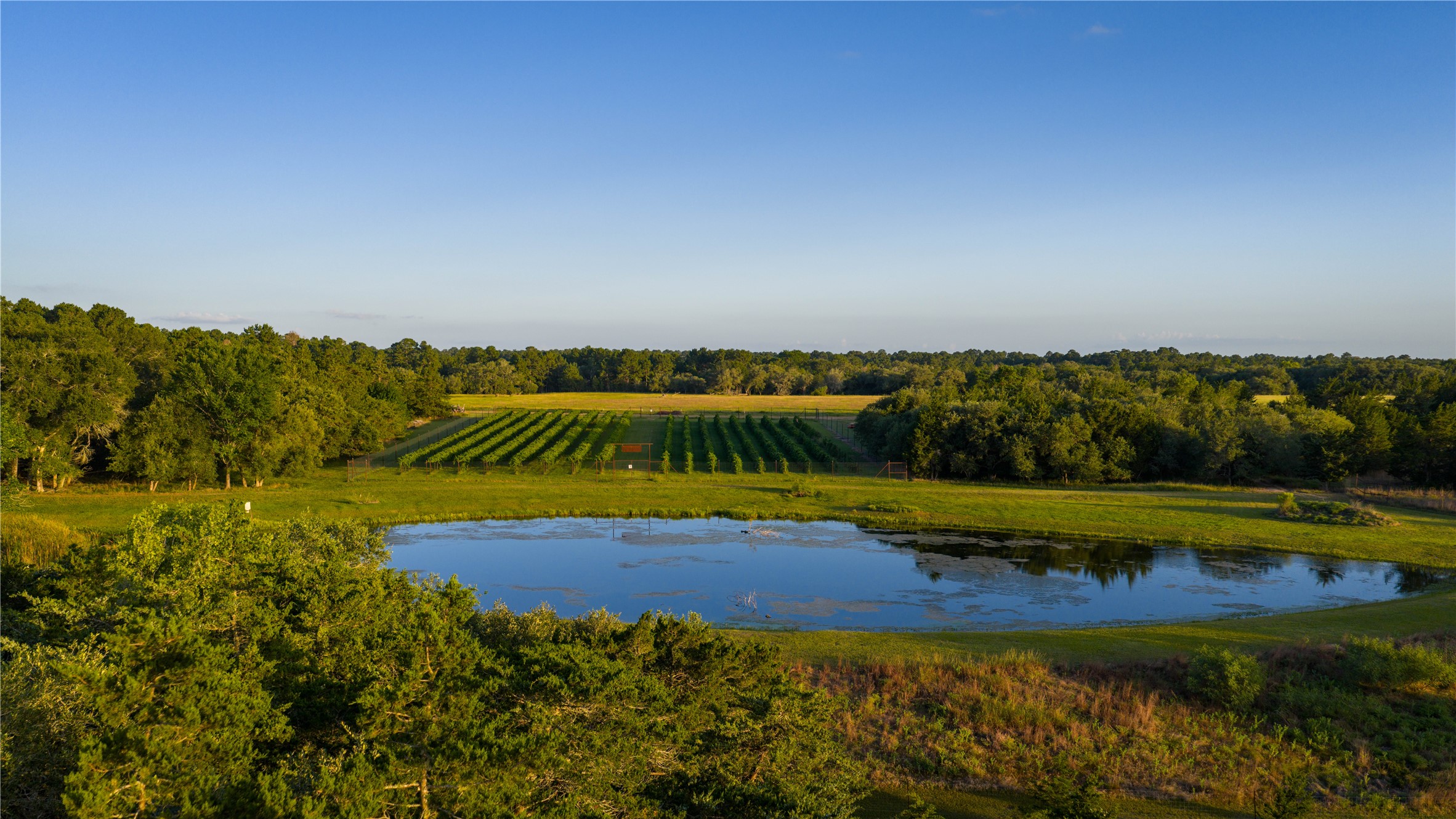 2080 Zimmerscheidt Road Columbus, TX 78934 - Photo 3 of 15 a view of a swimming pool and lake view