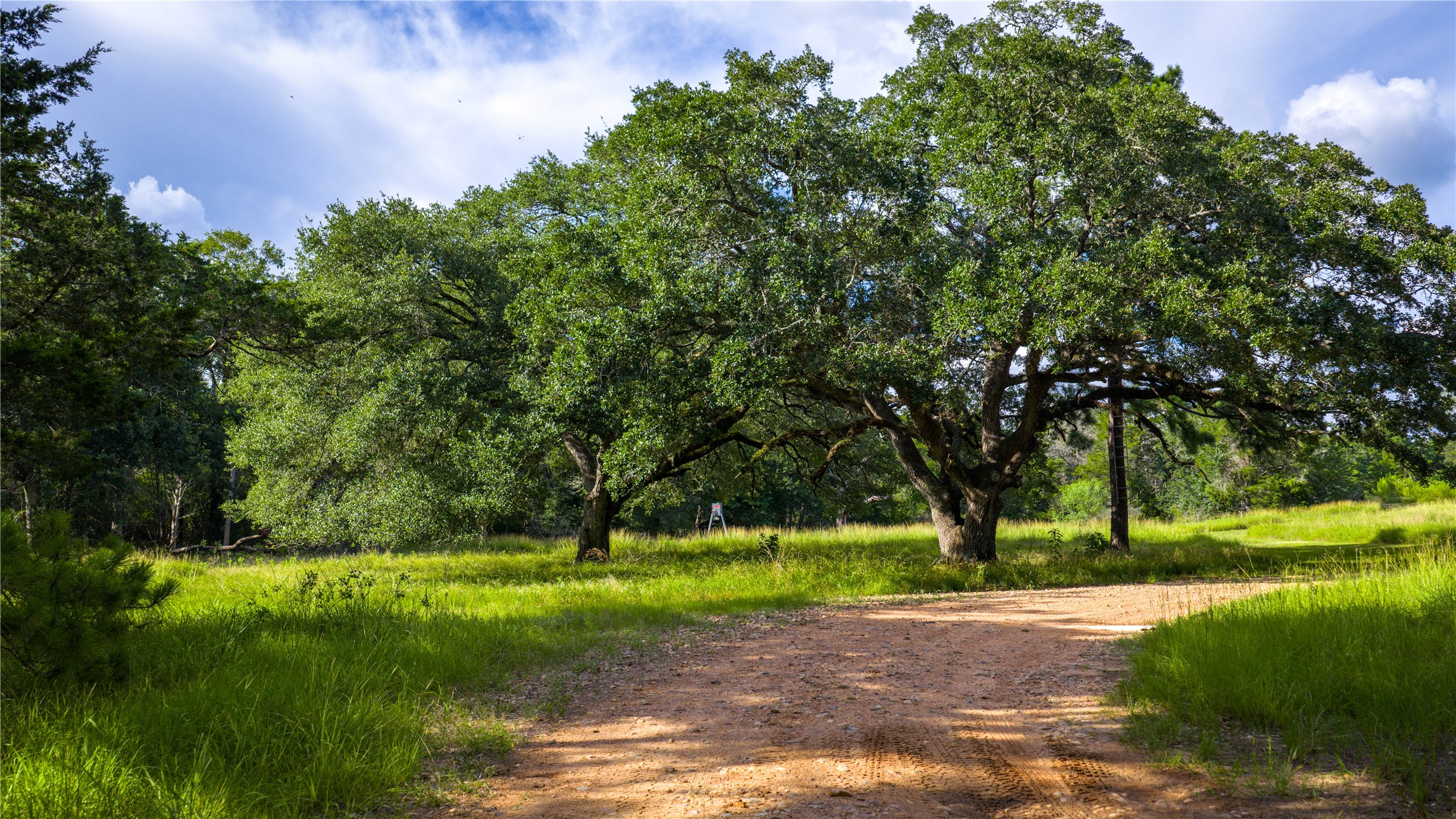 2080 Zimmerscheidt Road Columbus, TX 78934 - Photo 5 of 15 a view of a park