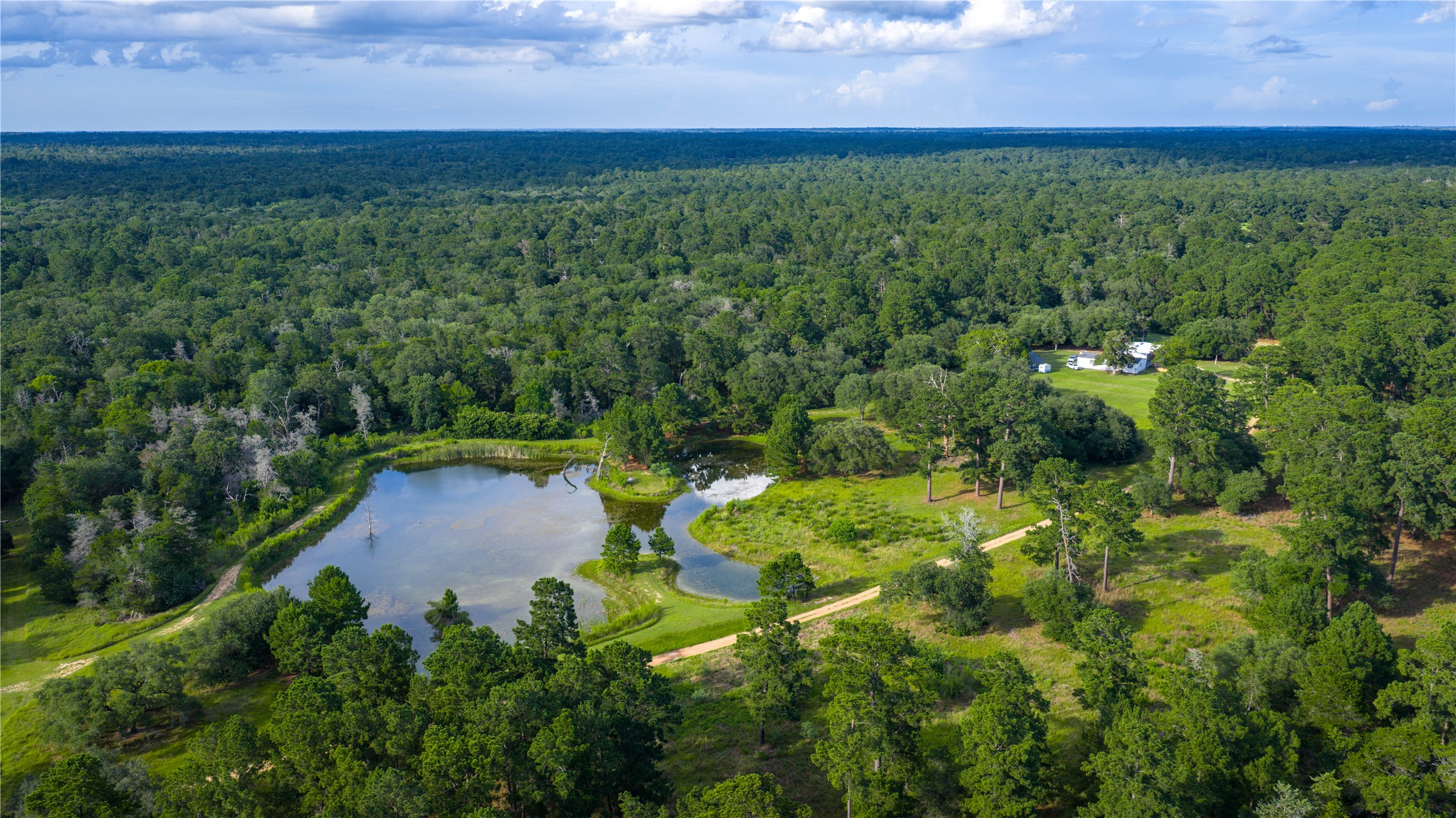 2080 Zimmerscheidt Road Columbus, TX 78934 - Photo 6 of 15 a view of yard with green space