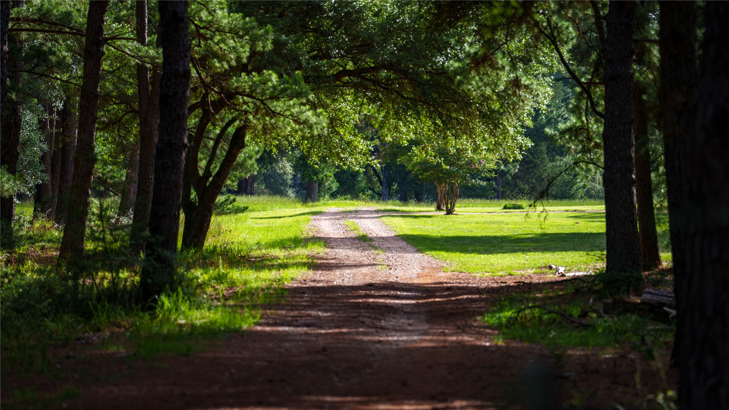 2080 Zimmerscheidt Road Columbus, TX 78934 - Photo 8 of 15 a view of a golf course with a trees