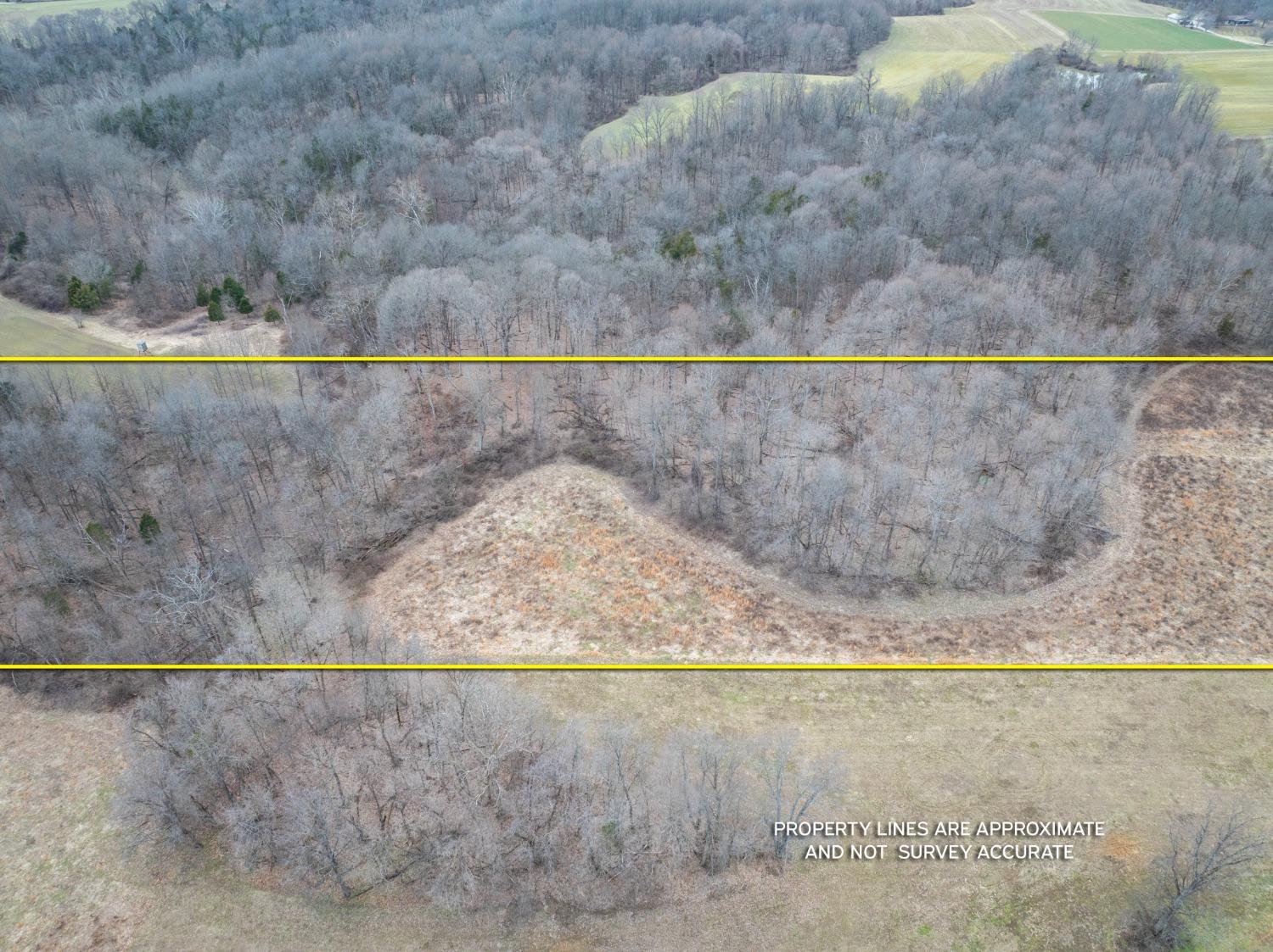 11845 McCrearys Ridge Road Florence, IN 47020 - Photo 6 of 7