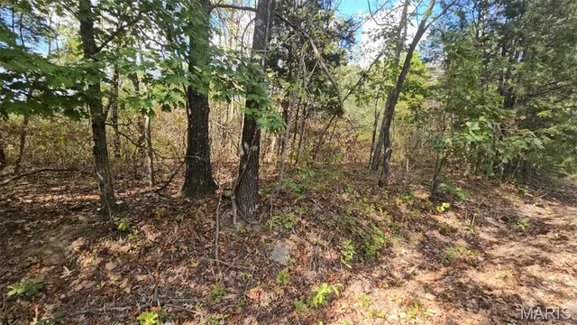 $4,500 | 2470 East Squire Road, Lake Sherwood, MO 63357