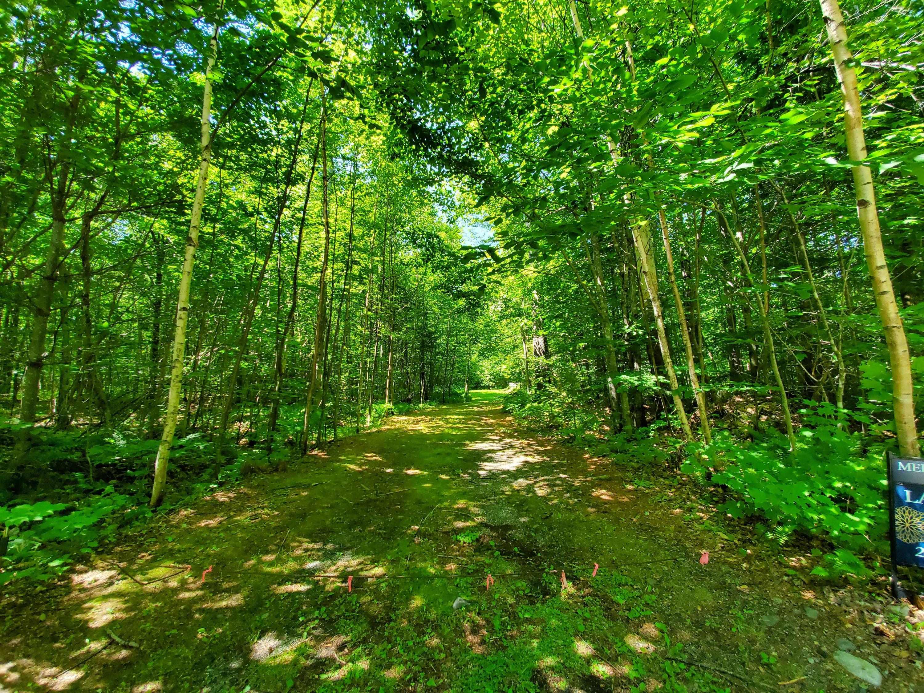 406 Ladd Road Mercer, ME 04957 - Photo 40 of 72 20200709_115513