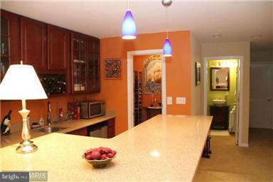 1914 Green Spring Road Winchester, VA 22603 - Photo 24 of 30 Wet bar