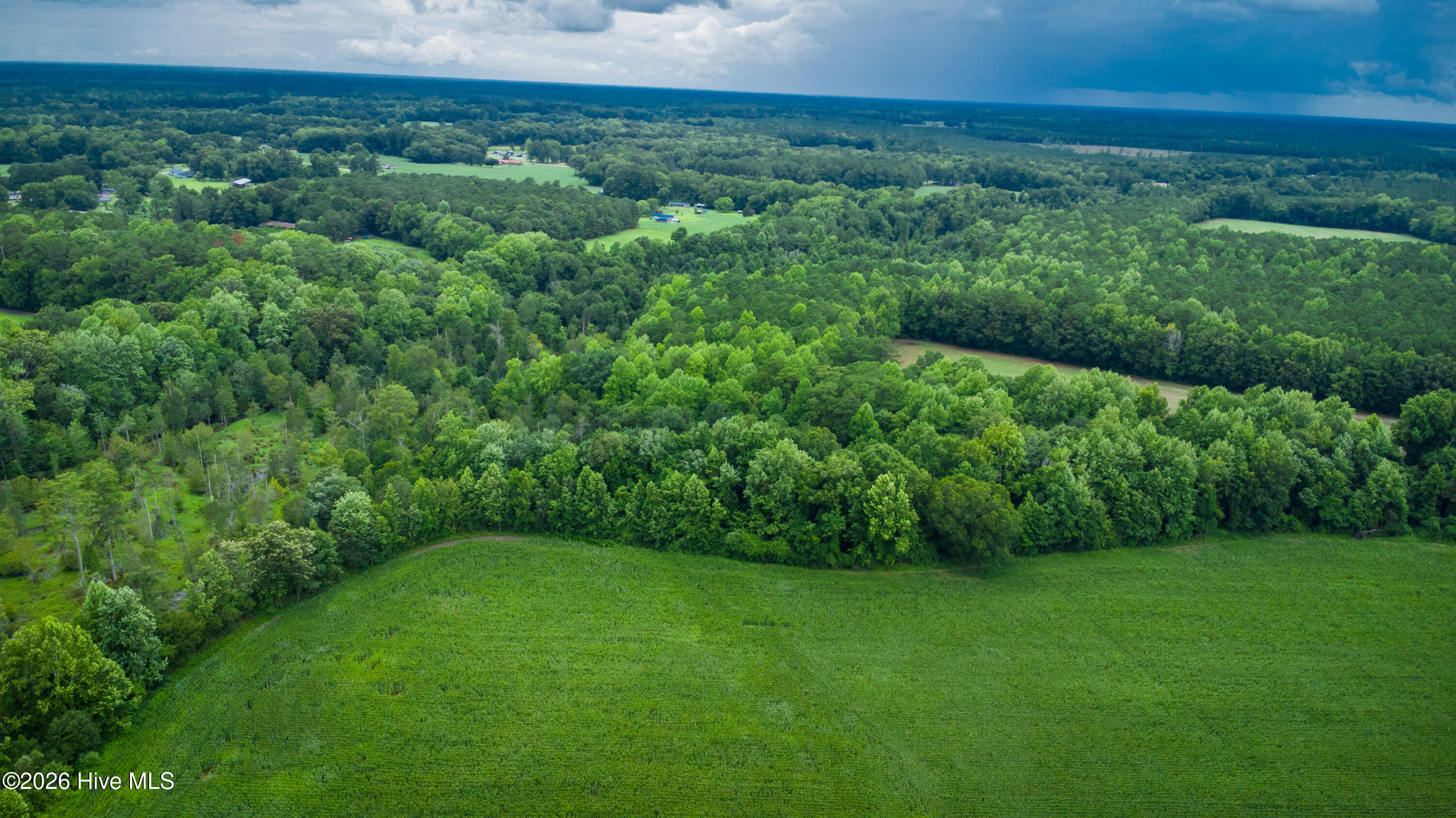 1601 Hill Neck Road Ernul, NC 28527 - Photo 27 of 33 Over 230 Acres of Opportunity