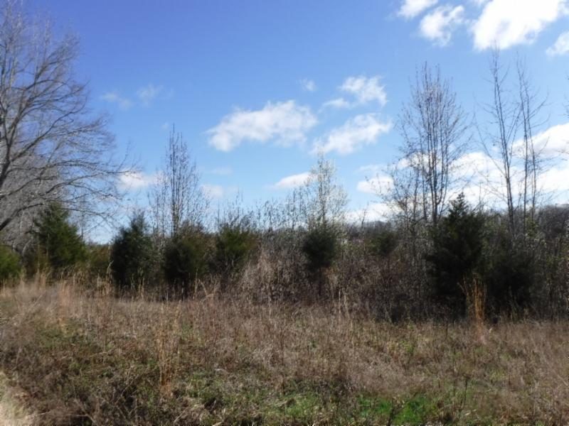 6 East Pin Hook Road Iron City, TN 38463 - Photo 16 of 25 Gallery Image 16