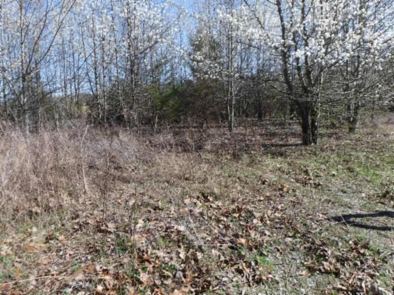 6 East Pin Hook Road Iron City, TN 38463 - Photo 21 of 25 Gallery Image 21