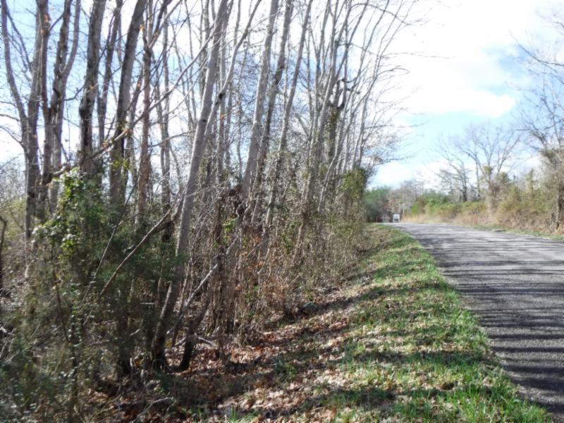 6 East Pin Hook Road Iron City, TN 38463 - Photo 10 of 25 Gallery Image 10