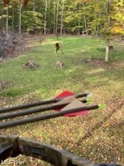 1010 Butterbean Ridge Road Philo, OH 43771 - Photo 19 of 24 View of yard