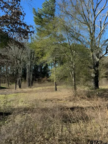 a view of outdoor space with trees