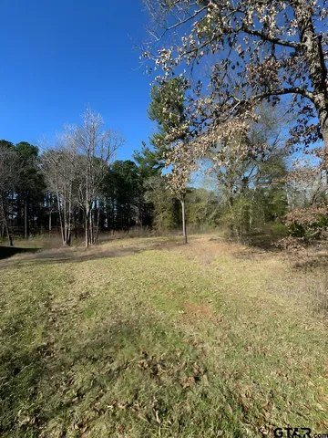 a view of a yard with a house in the background