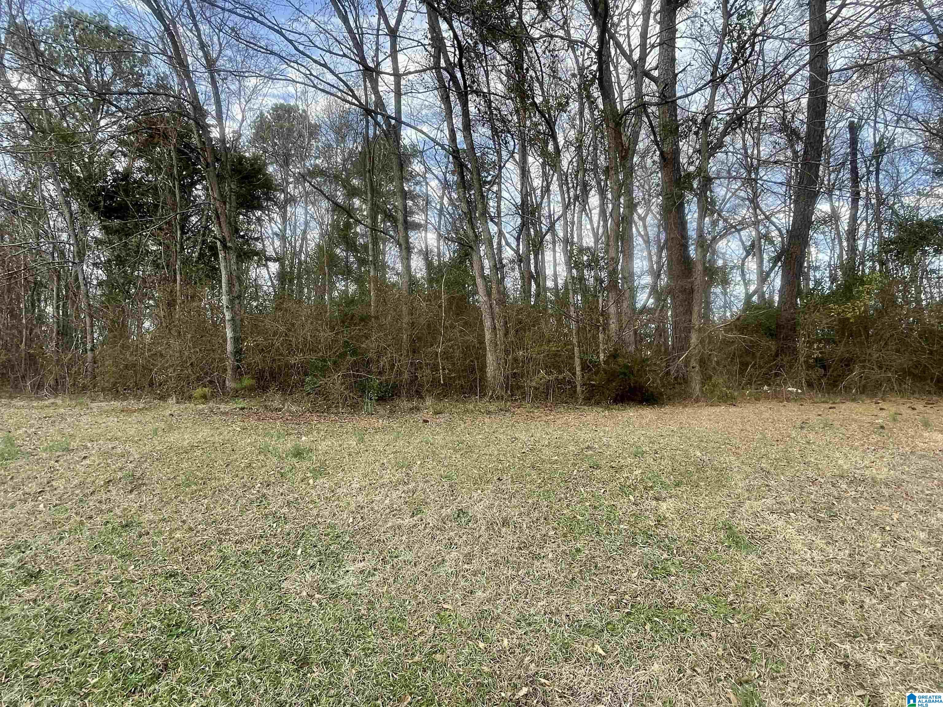 1010 Airport Road Weaver, AL 36277 - Photo 31 of 36
