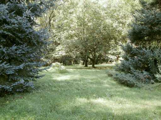 120 Hoch Road Renfrew, PA 16053 - Photo 2 of 3 Yard/Garden.