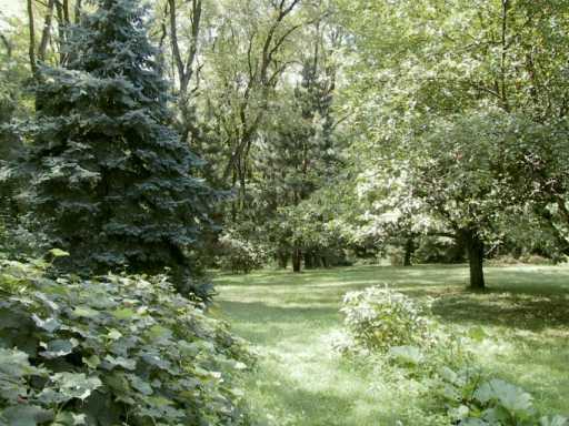 120 Hoch Road Renfrew, PA 16053 - Photo 3 of 3 Yard/Garden.