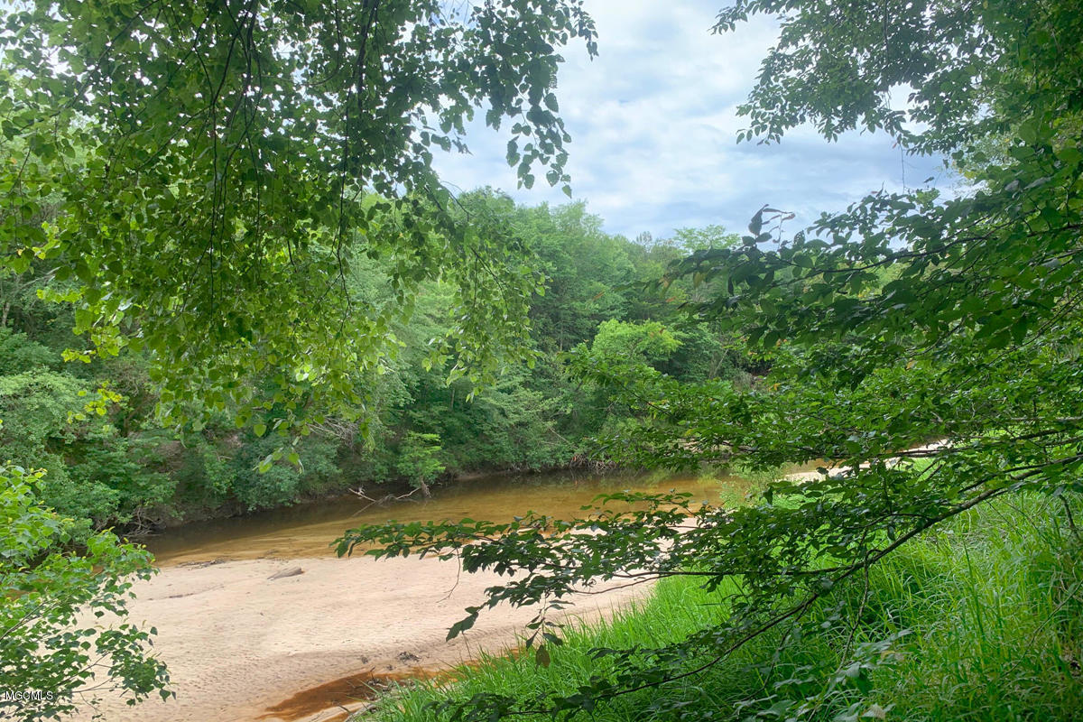 23-acres High Knob Road Leakesville, MS 39451 - Photo 20 of 78 creek 3 3