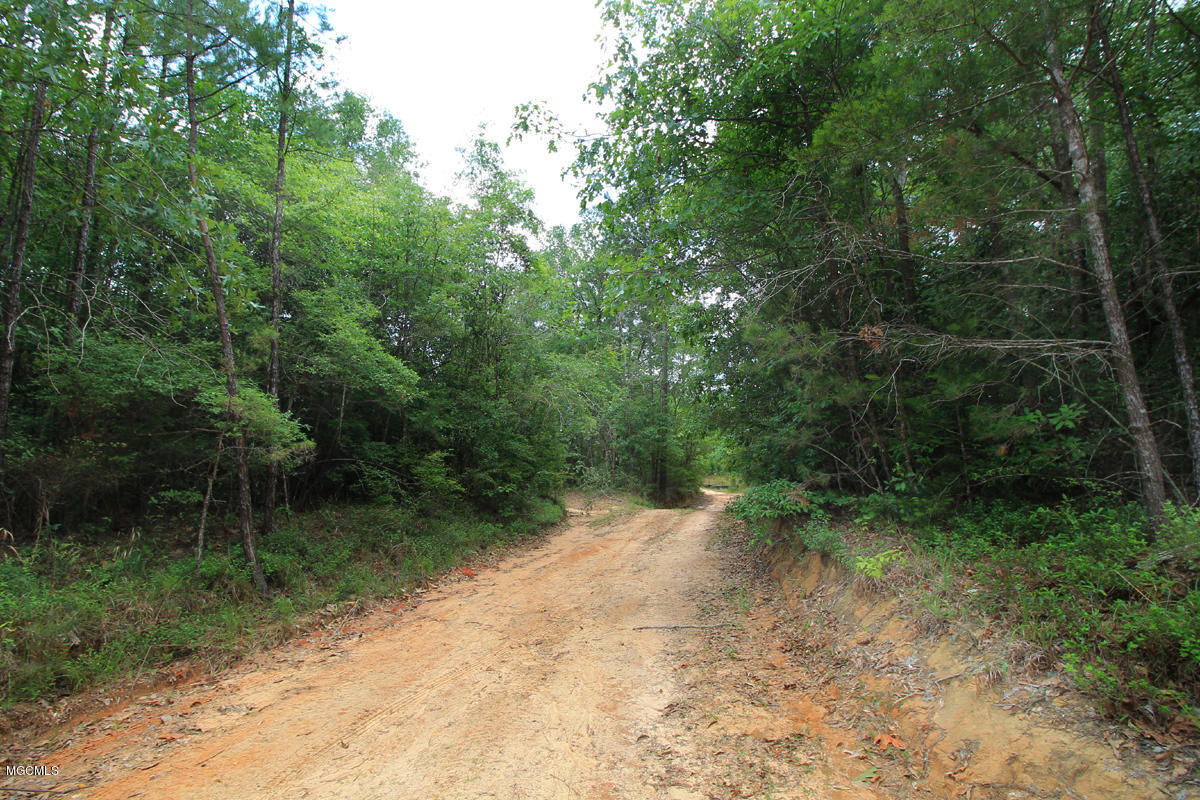 23-acres High Knob Road Leakesville, MS 39451 - Photo 69 of 78 road 1