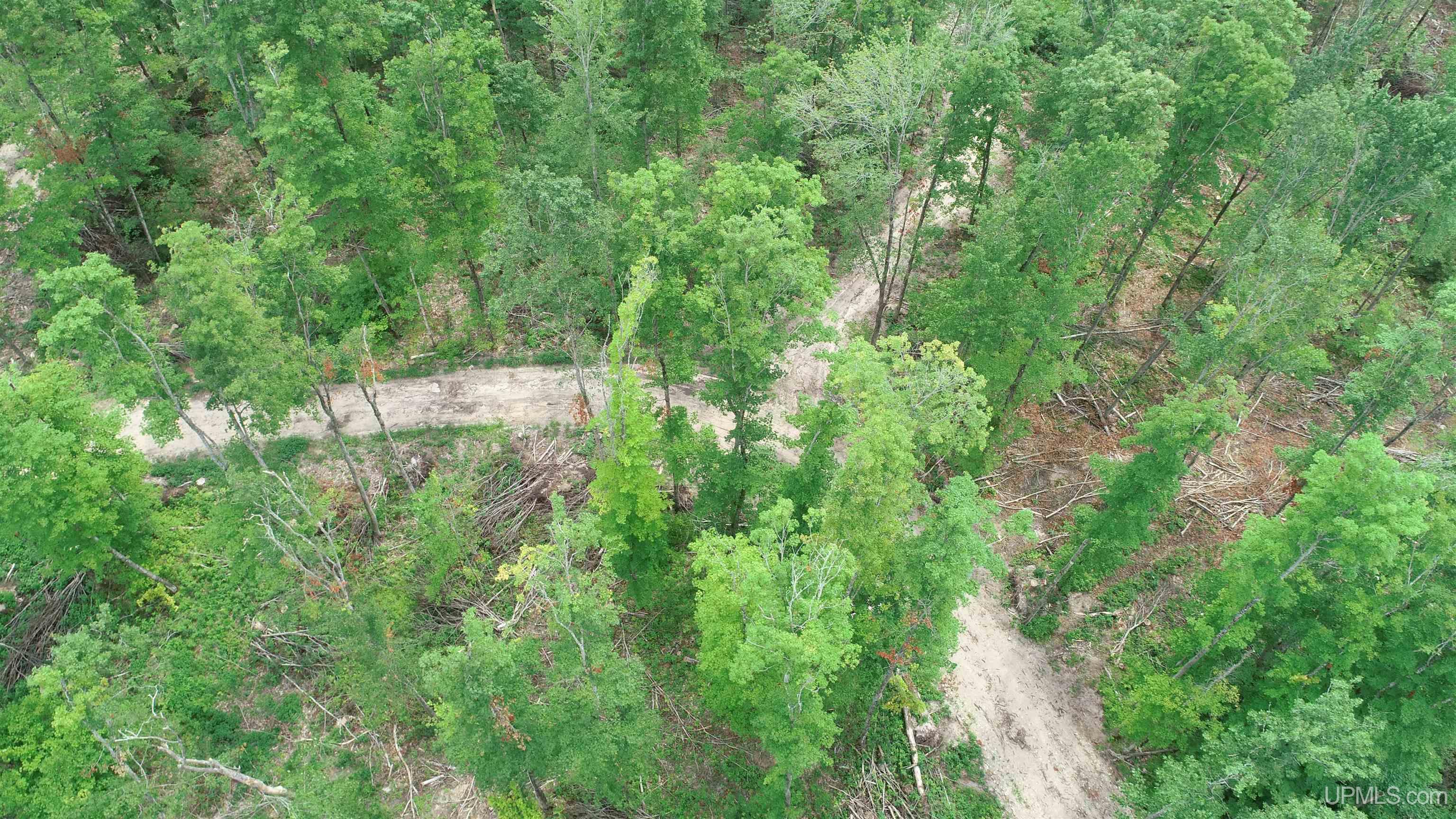 23 Camp 23 Road, Unit NORTH PARCEL Germfask, MI 49836 - Photo 6 of 10