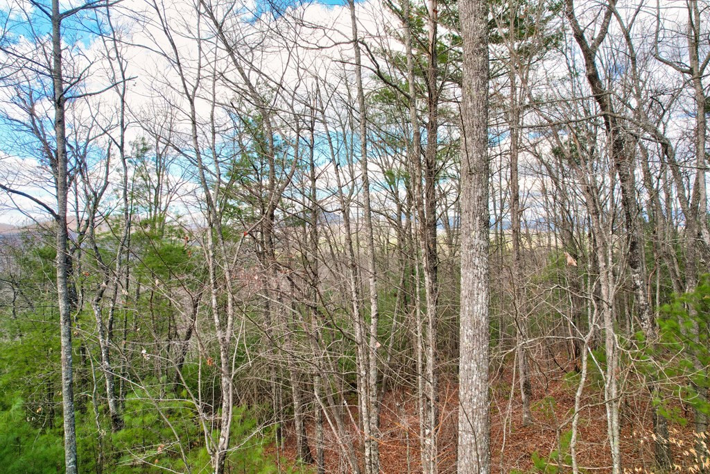 22-24 Rye Field Road Murphy, NC 28906 - Photo 20 of 26