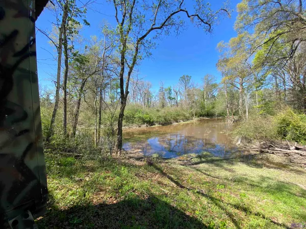 $300,000 | 11077 Lawrence Road, Hammond, LA 70403
