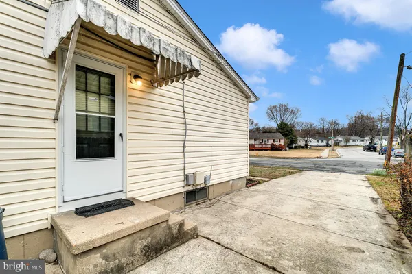 a view of a large tree with yard in front of it