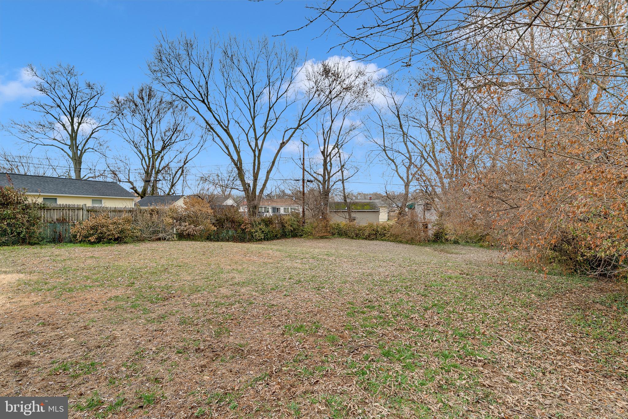264 Old Line Avenue Laurel, MD 20724 - Photo 31 of 31 a view of large trees with an outdoor space