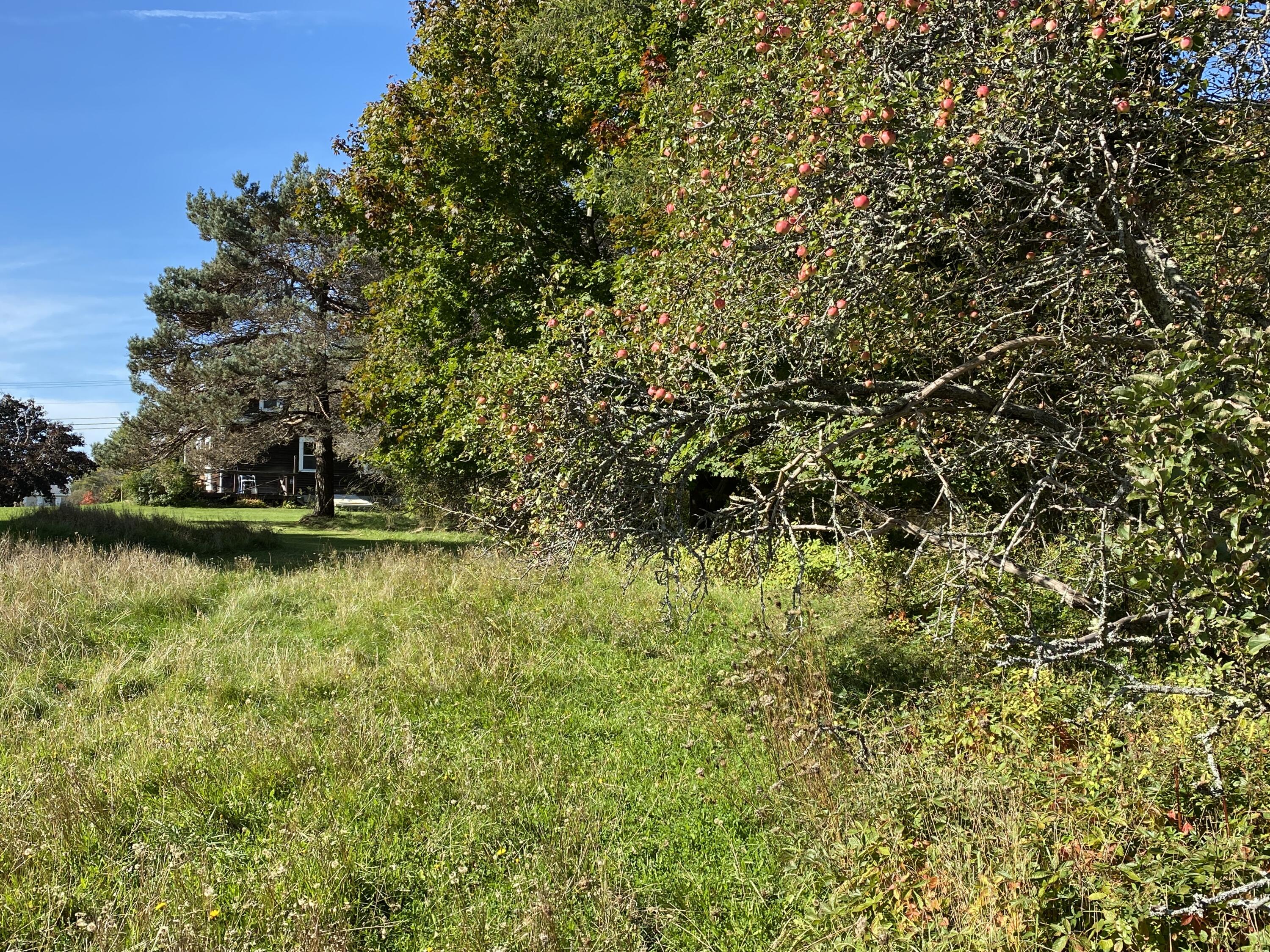 521 River Road St. George, ME 04860 - Photo 71 of 83 C20024D5-E2D3-4423-AC62-AED1B504D08E