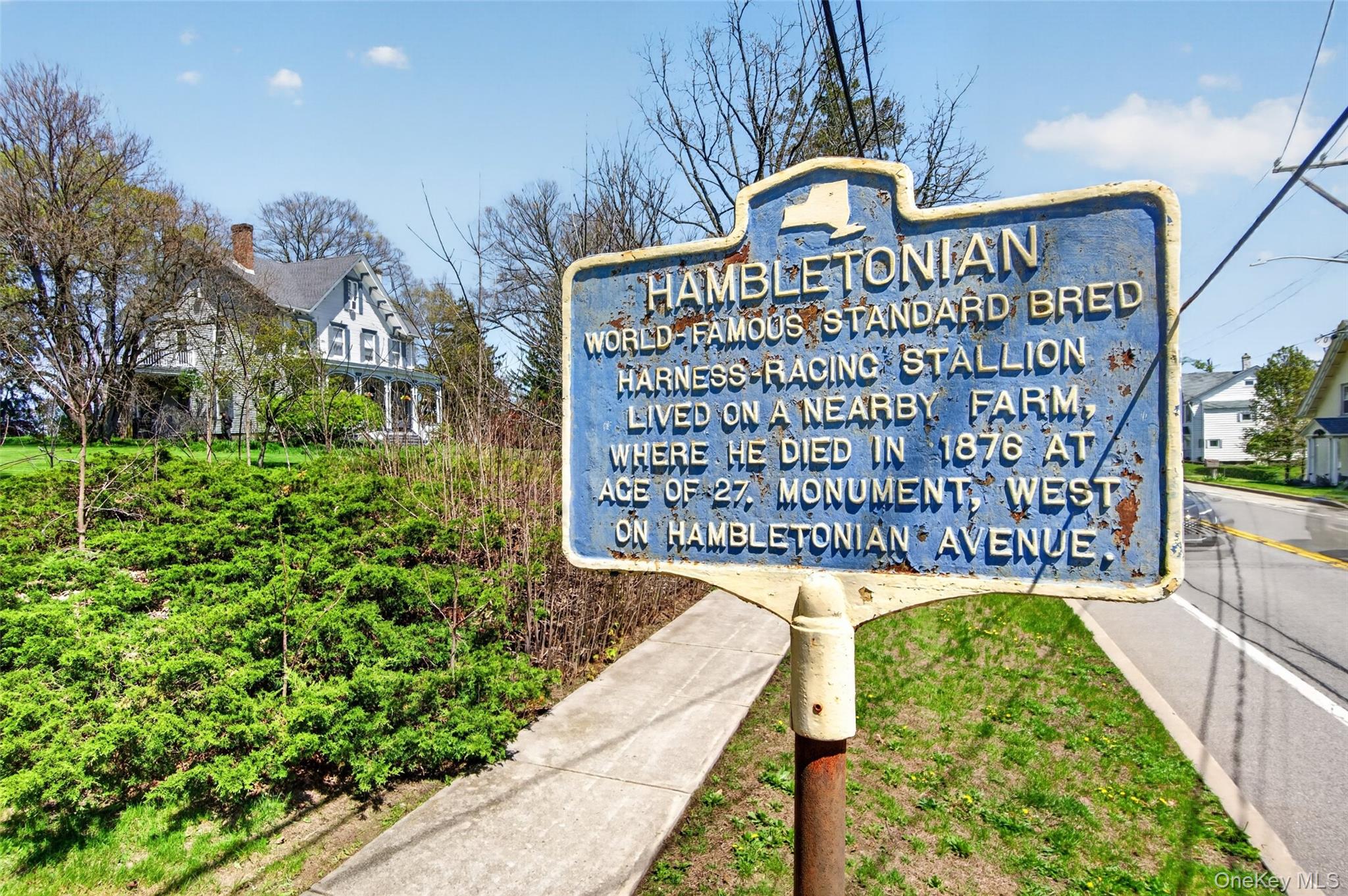 19 High Street Chester, NY 10918 - Photo 43 of 50