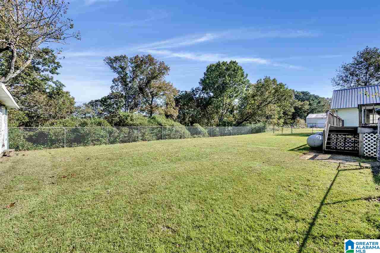 394 George Headley Road Locust Fork, AL 35097 - Photo 3 of 33