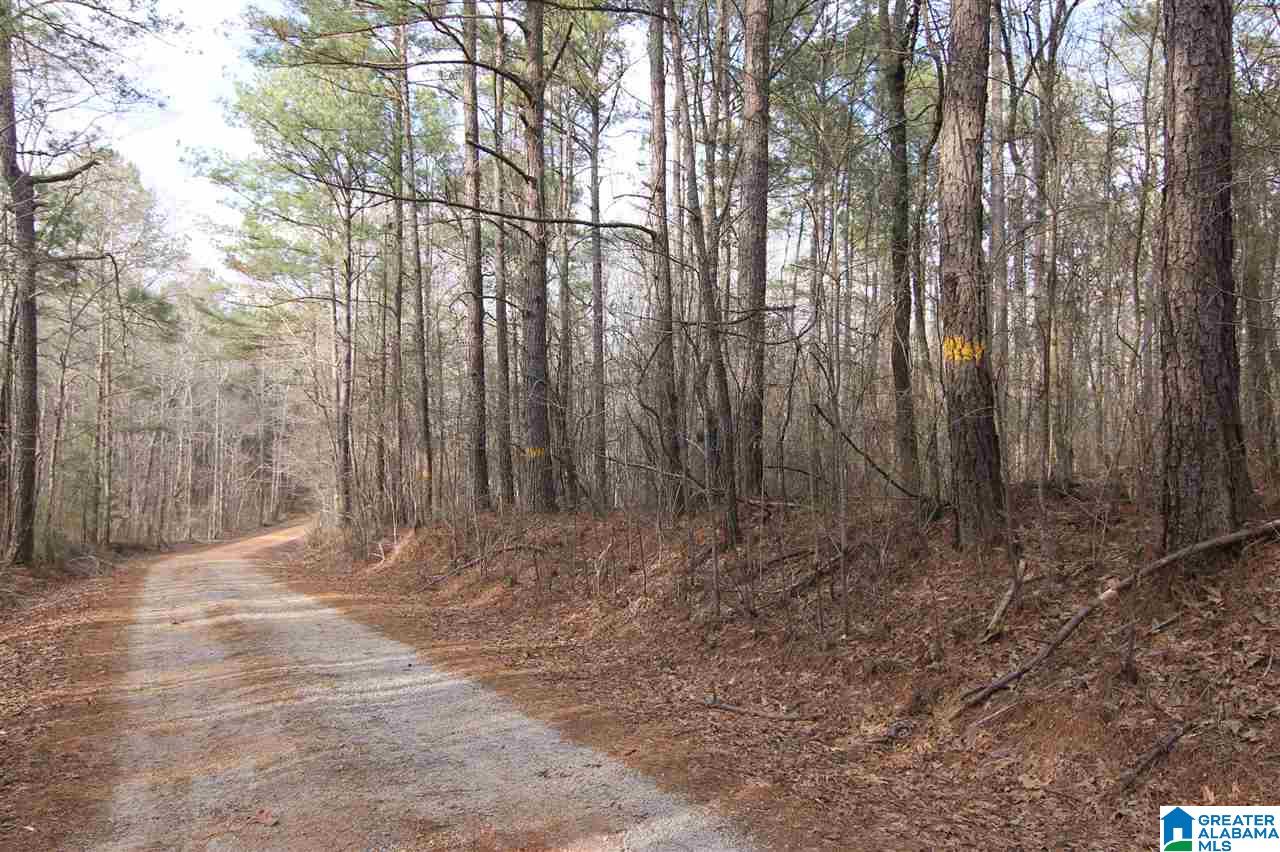 500 Lil Beaver Road, Unit 260 AC Daviston, AL 36256 - Photo 1 of 20