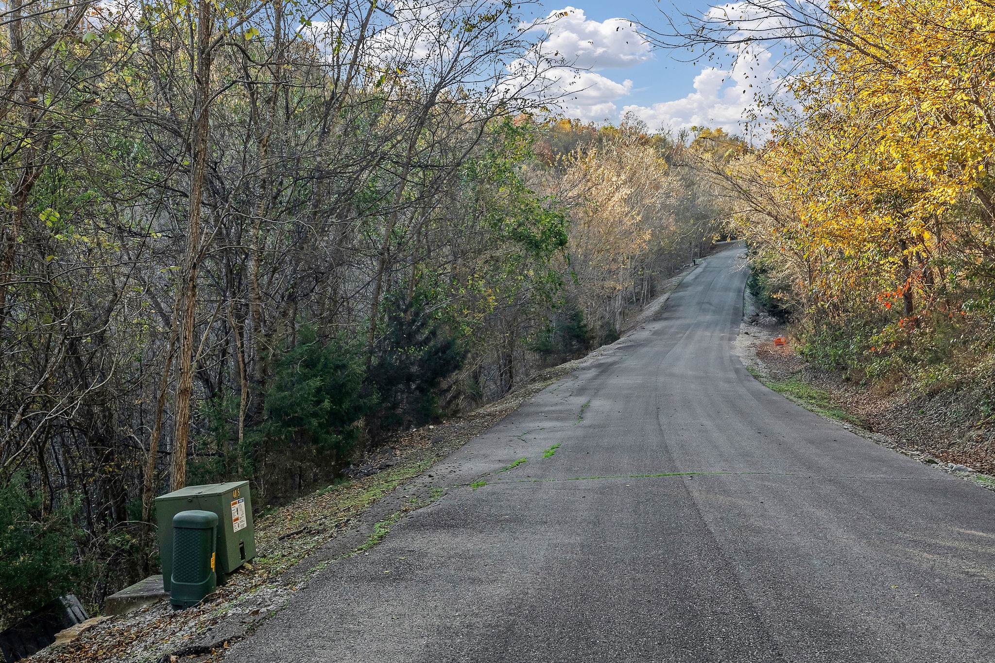 0 Blackberry Ridge Way Smithville, TN 37166 - Photo 11 of 12 a view of a pathway both side of yard