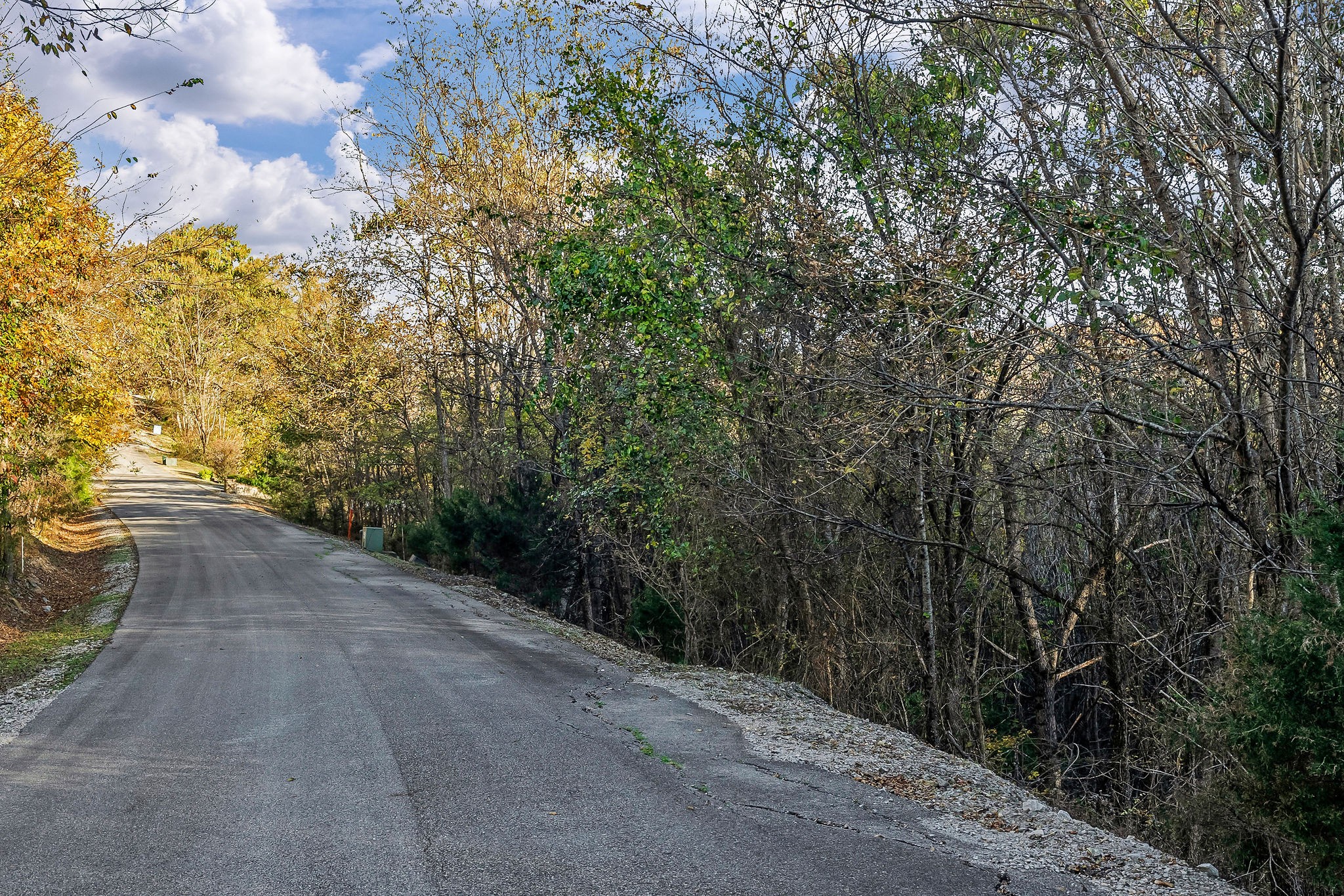 0 Blackberry Ridge Way Smithville, TN 37166 - Photo 12 of 12 a view of a backyard of the house