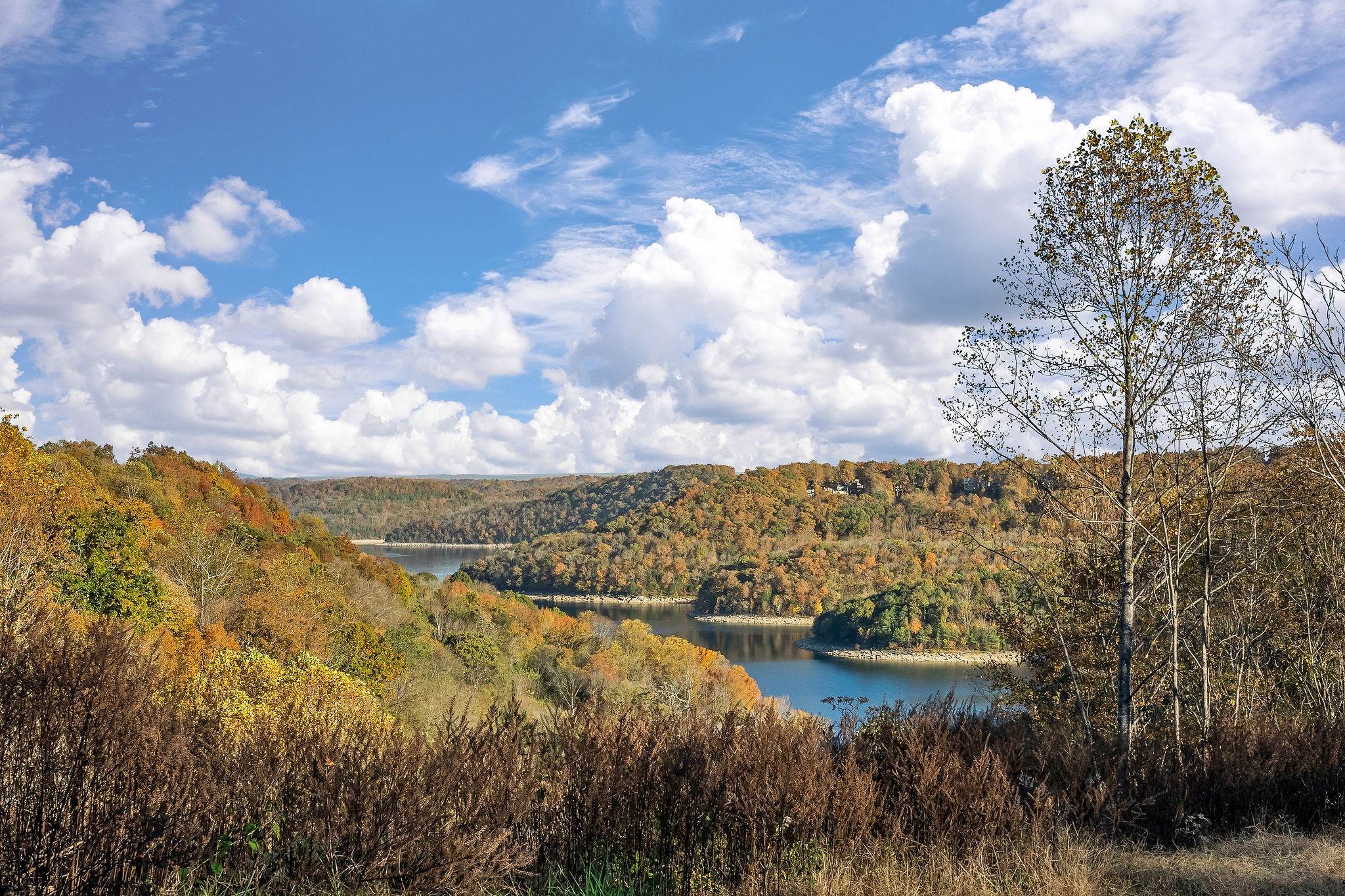 0 Blackberry Ridge Way Smithville, TN 37166 - Photo 2 of 12