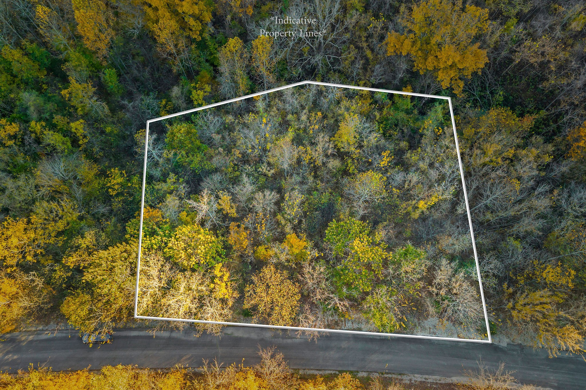 0 Blackberry Ridge Way Smithville, TN 37166 - Photo 4 of 12 a view of a small yard