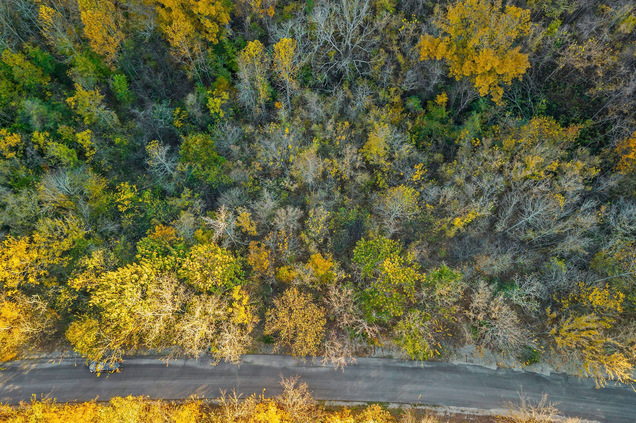 0 Blackberry Ridge Way Smithville, TN 37166 - Photo 6 of 12 a view of yard with green space