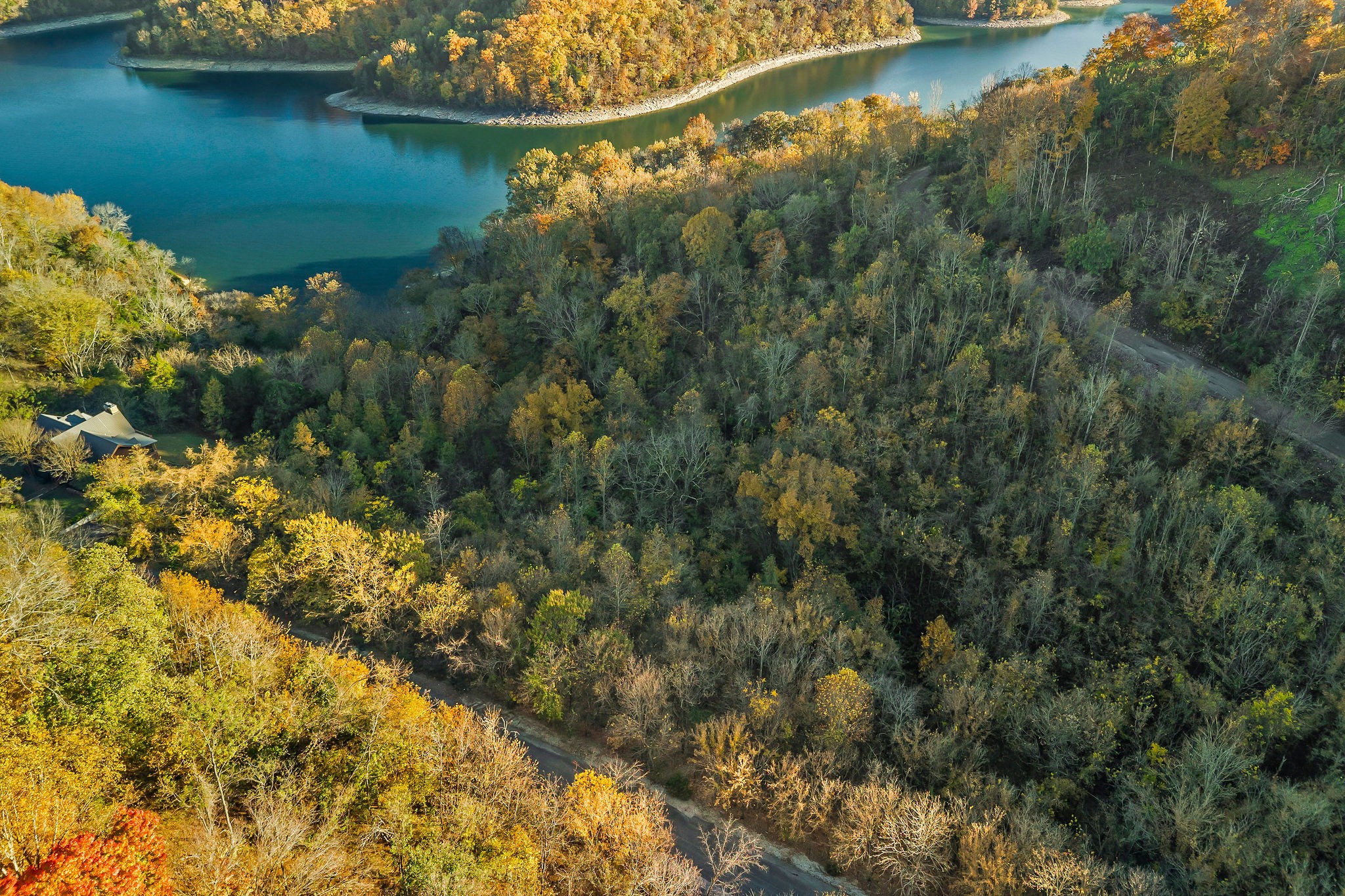 0 Blackberry Ridge Way Smithville, TN 37166 - Photo 7 of 12 an aerial view of residential houses with outdoor space and trees