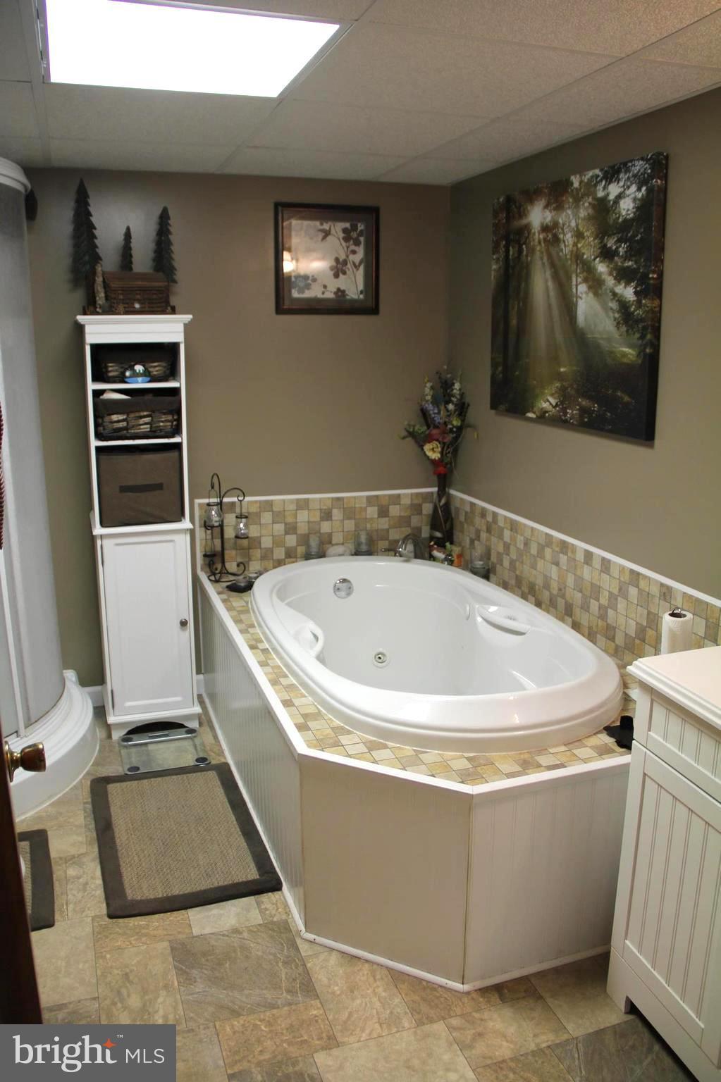 336 Lockhouse Road Falling Waters, WV 25419 - Photo 23 of 28 Bath