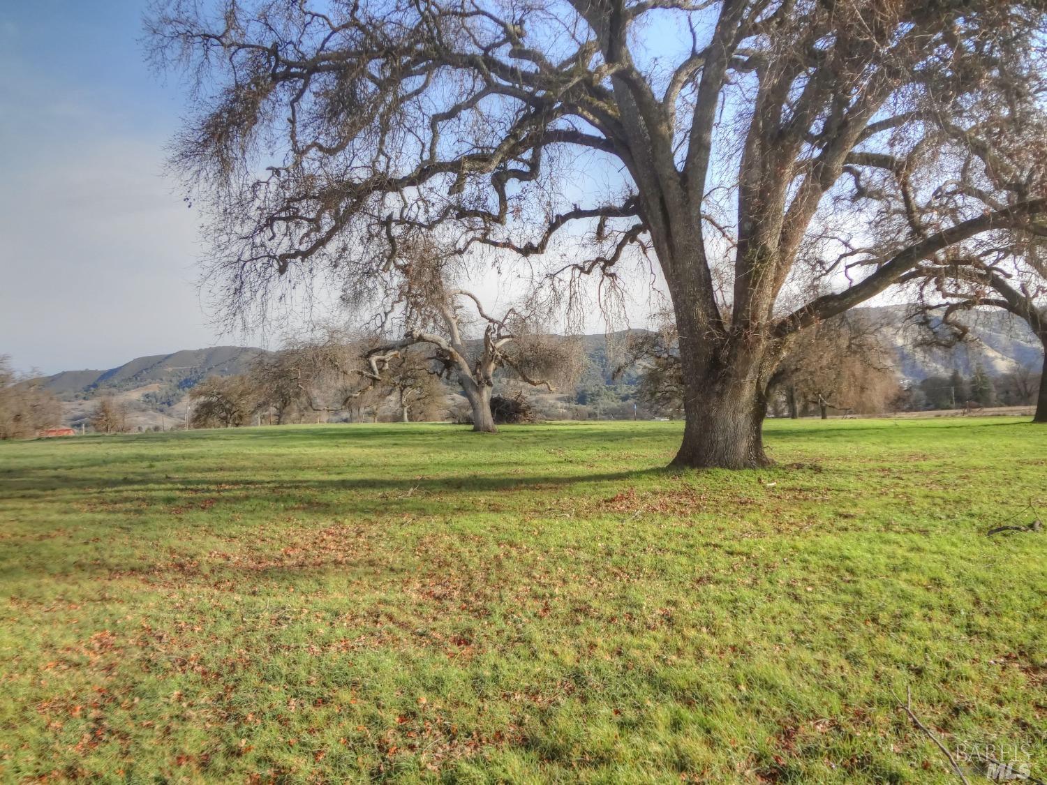 2175 Point Land Farms Drive Nice, CA 95464 - Photo 1 of 1 a view of a field with large trees
